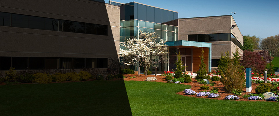 Willow Grove Landscapers