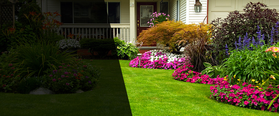 Willow Grove Landscapers