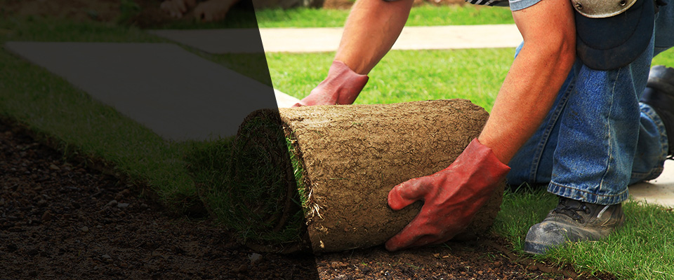Willow Grove Landscapers